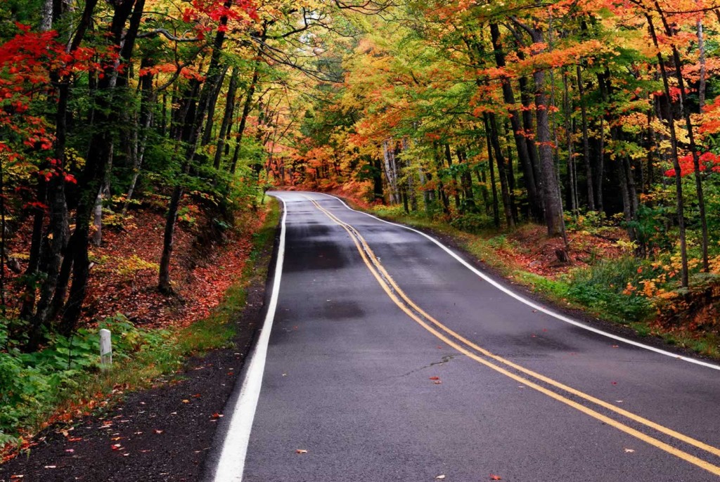 Road Fall Colors