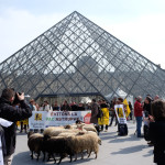 Louvre France: Sheep